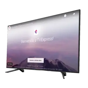 tv br 300x300 1